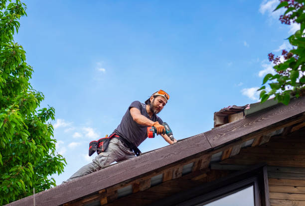 Steel Roofing in Lake Mary Jane, FL